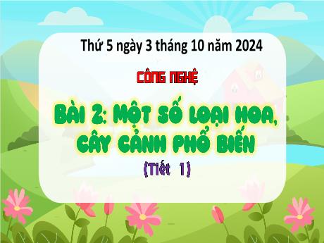 Bài giảng Công nghệ 4 Sách Kết nối tri thức - Bài 2: Một số loại hoa, cây cảnh phổ biến (Tiết 1) - Năm học 2024-2025