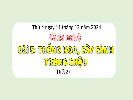 Bài giảng Công nghệ 4 Sách Kết nối tri thức - Bài 5: Trồng hoa, cây cảnh trong chậu (Tiết 2) - Năm học 2024-2025