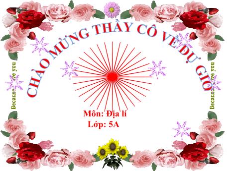 Bài giảng Địa lý Lớp 5 - Bài 27: Châu Đại Dương và châu Nam Cực (Tiết 1 đến 4)