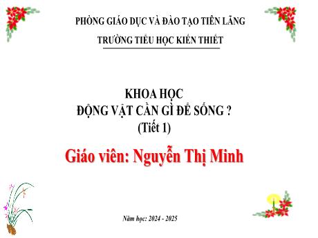 Bài giảng Khoa học Lớp 4 Sách Kết nối tri thức - Bài 16: Động vật cần gì để sống? (Tiết 1) - Năm học: 2024-2025 - Nguyễn Thị Minh