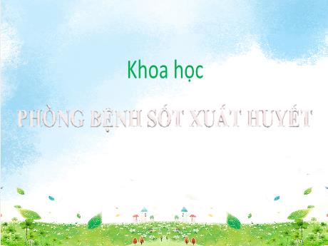 Bài giảng Khoa học Lớp 5 - Bài 13: Phòng bệnh sốt xuất huyết