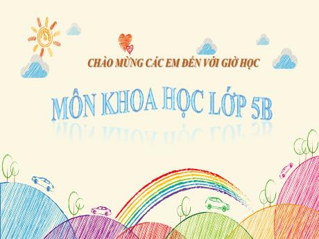 Bài giảng Khoa học Lớp 5 - Bài 19: Phòng tránh tai nạn giao thông đường bộ