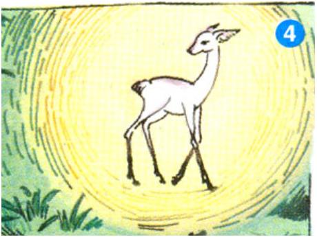 Bài giảng môn Tiếng Việt Lớp 5 (Tập đọc) - Tuần 11, Bài: Người đi săn và con nai