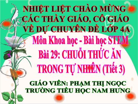 Bài giảng STEM Khoa học Lớp 4 Sách Kết nối tri thức - Bài 29: Chuỗi thức ăn trong tự nhiên (Tiết 3) - Phạm Thị Ngọc