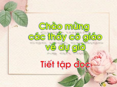 Bài giảng Tiếng Việt Lớp 1 (Tập đọc) Sách Kết nối tri thức - Chủ đề 5, Bài 5: Tiếng vọng của núi