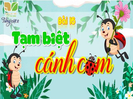 Bài giảng Tiếng Việt Lớp 2 (Đọc) Sách Kết nối tri thức - Bài 16: Tạm biệt cánh cam