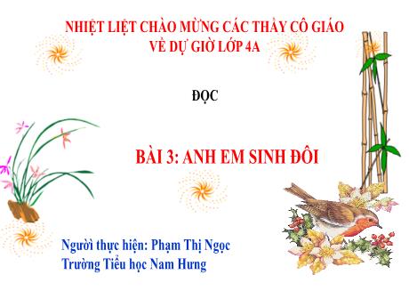 Bài giảng Tiếng Việt Lớp 4 (Đọc) Sách Kết nối tri thức - Bài 3: Anh em sinh đôi - Phạm Thị Ngọc