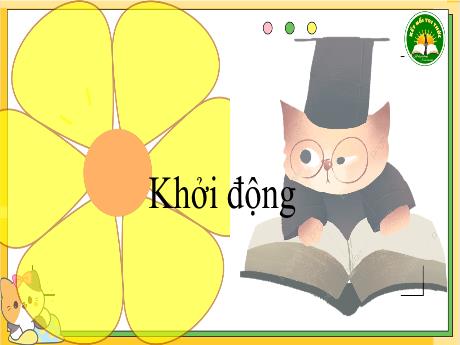 Bài giảng Toán 3 Sách Kết nối tri thức - Tuần 8 - Bài 19: Hình tam giác, hình tứ giác. Hình chữ nhật, hình vuông (Tiết 2) - Năm học 2024-2025