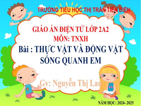 Bài giảng Tự nhiên và xã hội 2 Sách Kết nối tri thức - Bài 19: Thực vật và động vật sống quanh em - Năm học 2024-2025 - Nguyễn Thị Lan