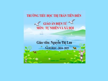 Bài giảng Tự nhiên và xã hội 2 Sách Kết nối tri thức - Bài 24: Chăm sóc, bảo vệ cơ quan hô hấp - Năm học 2024-2025 - Nguyễn Thị Lan