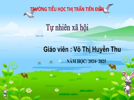 Bài giảng Tự nhiên và xã hội 3 Sách Kết nối tri thức - Bài 14: Chức năng một số bộ phận của thực vật (Tiết 2) - Năm học 2024-2025 - Võ Thị Huyền Thu