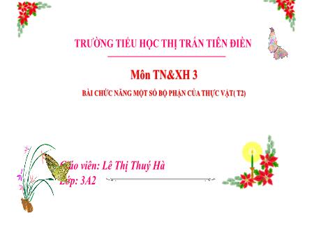 Bài giảng Tự nhiên và xã hội 3 Sách Kết nối tri thức - Tuần 17, Bài 14: Chức năng một số bộ phận của thực vật (Tiết 2) - Năm học 2024-2025 - Lê Thị Thúy Hà