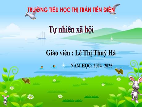 Bài giảng Tự nhiên và xã hội 3 Sách Kết nối tri thức - Tuần 19, Bài 14: Một số bộ phận của động vật và chức năng của chúng (Tiết 3) - Năm học 2024-2025 - Lê Thị Thúy Hà