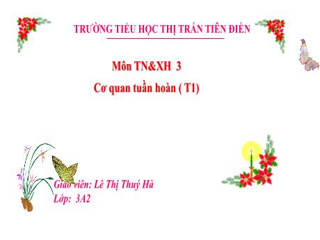 Bài giảng Tự nhiên và xã hội 3 Sách Kết nối tri thức - Tuần 25, Bài 20: Cơ quan tuần hoàn (Tiết 1) - Năm học 2024-2025 - Lê Thị Thúy Hà