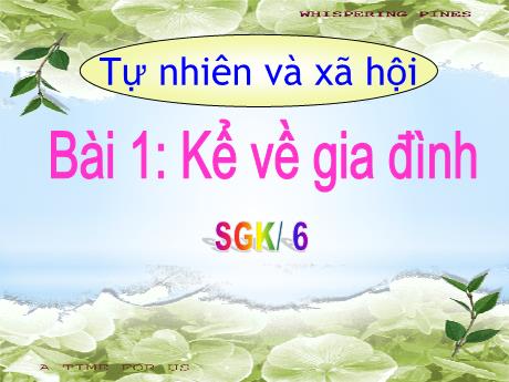 Bài giảng Tự nhiên và xã hội Lớp 1 (Kết nối tri thức) - Bài 1: Kể về gia đình
