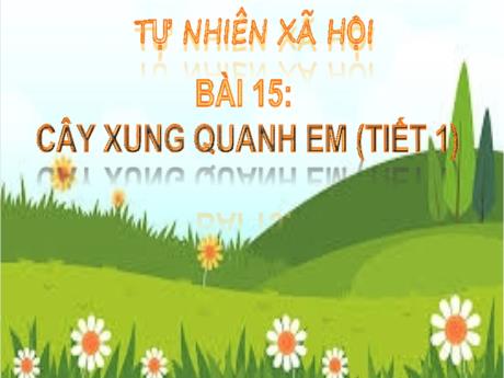 Bài giảng Tự nhiên và xã hội Lớp 1 (Kết nối tri thức) - Bài 15: Cây xung quanh em (Tiết 1)
