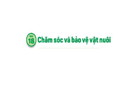 Bài giảng Tự nhiên và xã hội Lớp 1 (Kết nối tri thức) - Bài 18: Chăm sóc và bảo vệ vật nuôi