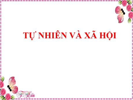 Bài giảng Tự nhiên và xã hội Lớp 1 - Tuần 12, Bài 10: Cùng khám phá quang cảnh xung quanh (Trang 42, Tiết 1)