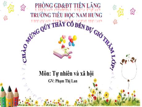 Bài giảng Tự nhiên và xã hội Lớp 2 Sách Kết nối tri thức - Bài 14: Cùng tham gia giao thông - Phạm Thị Lan