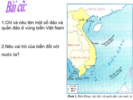 Kế hoạch bài dạy Địa lý Lớp 4 - Bài 30: Khai thác khoáng sản và hải sản ở vùng biển Việt Nam